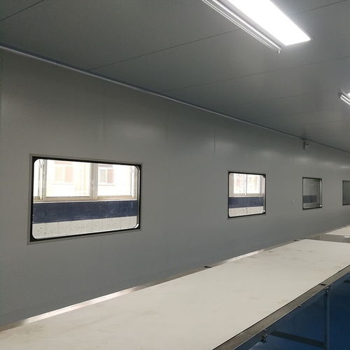 山東聊城食品廠食品廠無(wú)塵車(chē)間